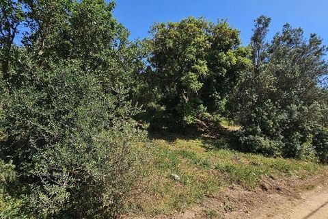 Terra a Sagres, Faro, Sagres - € 100.000 | Ref: 886613 - foto 24