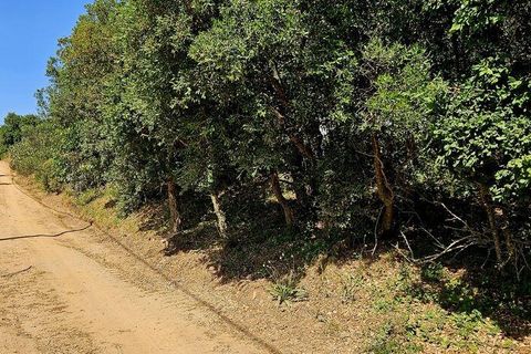 Terra a Sagres, Faro, Sagres - € 100.000 | Ref: 886613 - foto 26