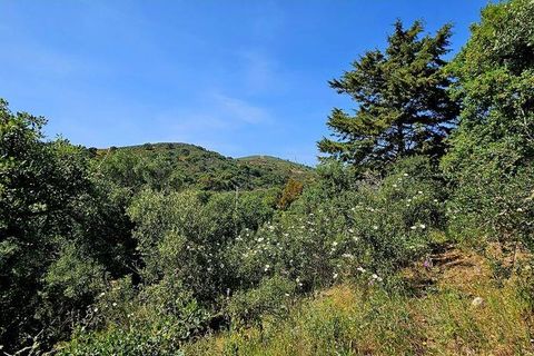 Terra a Sagres, Faro, Sagres - € 100.000 | Ref: 886613 - foto 27