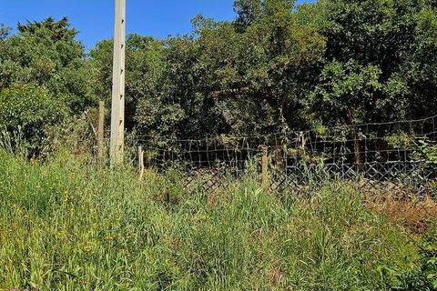 Terra a Sagres, Faro, Sagres - € 100.000 | Ref: 886613 - foto 28