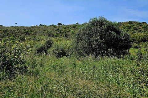 Terra a Sagres, Faro, Sagres - € 100.000 | Ref: 886613 - foto 29