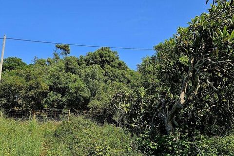 Terra a Sagres, Faro, Sagres - € 100.000 | Ref: 886613 - foto 30