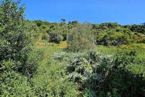 Terra a Sagres, Faro, Sagres - € 100.000 | Ref: 886613 - foto 31