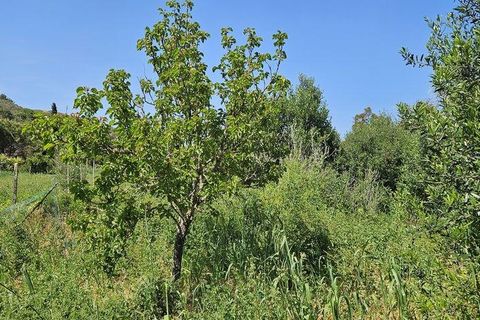 Terra a Sagres, Faro, Sagres - € 100.000 | Ref: 886613 - foto 32
