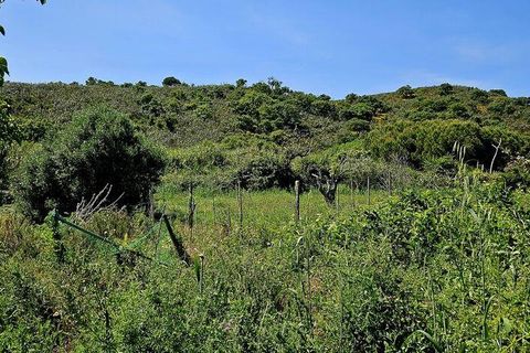 Terra a Sagres, Faro, Sagres - € 100.000 | Ref: 886613 - foto 33