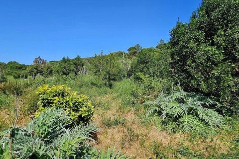 Terra a Sagres, Faro, Sagres - € 100.000 | Ref: 886613 - foto 34