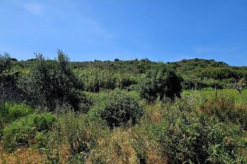 Terra a Sagres, Faro, Sagres - € 100.000 | Ref: 886613 - foto 35