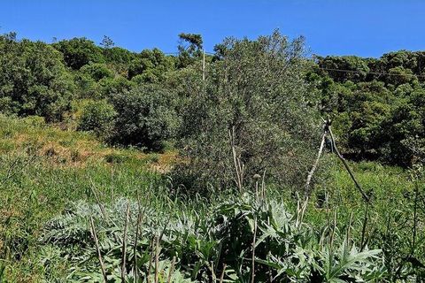 Terra a Sagres, Faro, Sagres - € 100.000 | Ref: 886613 - foto 36