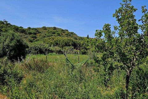 Terra a Sagres, Faro, Sagres - € 100.000 | Ref: 886613 - foto 37