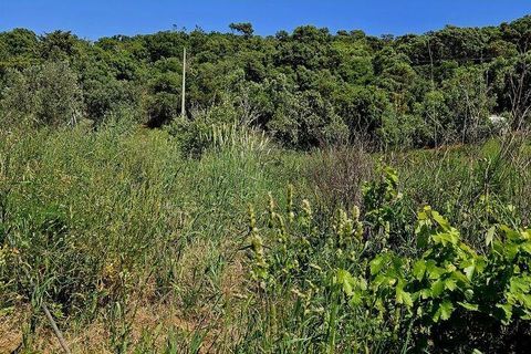 Terra a Sagres, Faro, Sagres - € 100.000 | Ref: 886613 - foto 38