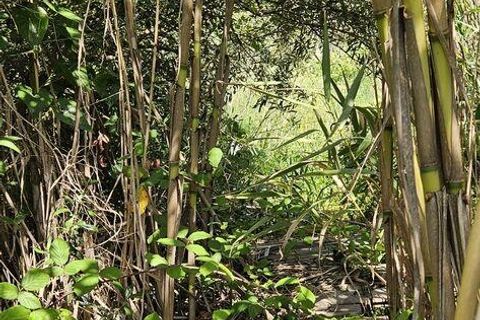 Terra a Sagres, Faro, Sagres - € 100.000 | Ref: 886613 - foto 40
