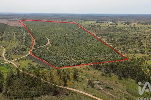 Helårsgrund i Abrantes, Santarem, Abrantes - € 699.000 | Ref: 878782 - foto 1