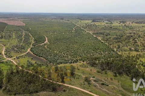 Helårsgrund i Abrantes, Santarem, Abrantes - € 699.000 | Ref: 878782 - foto 4