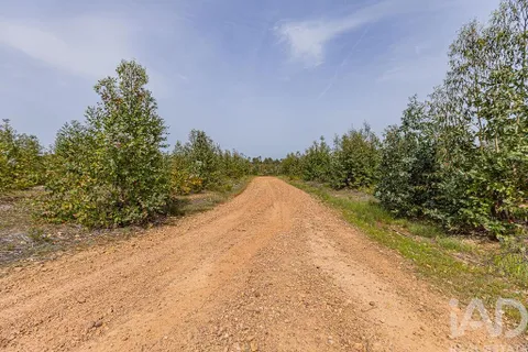 Helårsgrund i Abrantes, Santarem, Abrantes - € 699.000 | Ref: 878782 - foto 6