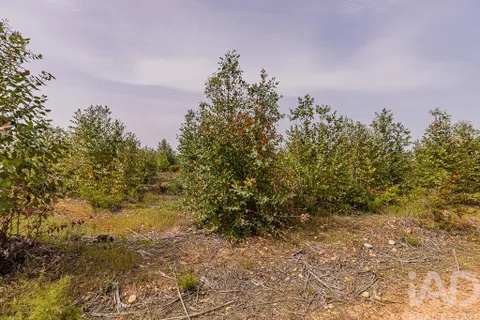 Helårsgrund i Abrantes, Santarem, Abrantes - € 699.000 | Ref: 878782 - foto 7