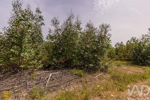 Helårsgrund i Abrantes, Santarem, Abrantes - € 699.000 | Ref: 878782 - foto 8
