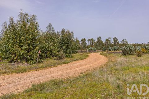 Helårsgrund i Abrantes, Santarem, Abrantes - € 699.000 | Ref: 878782 - foto 11
