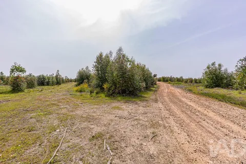 Helårsgrund i Abrantes, Santarem, Abrantes - € 699.000 | Ref: 878782 - foto 12