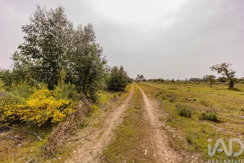 Helårsgrund i Abrantes, Santarem, Abrantes - € 699.000 | Ref: 878782 - foto 14