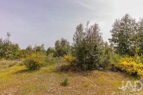 Helårsgrund i Abrantes, Santarem, Abrantes - € 699.000 | Ref: 878782 - foto 15