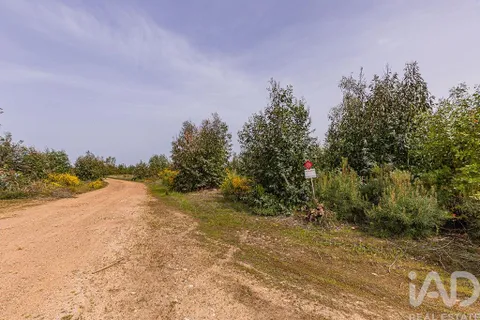 Helårsgrund i Abrantes, Santarem, Abrantes - € 699.000 | Ref: 878782 - foto 16