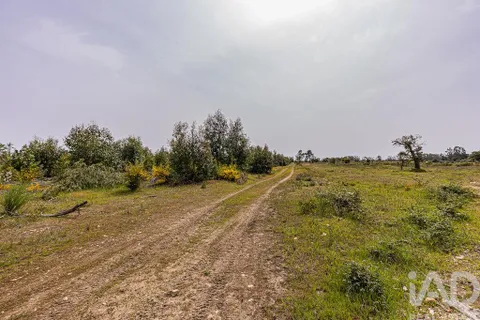 Helårsgrund i Abrantes, Santarem, Abrantes - € 699.000 | Ref: 878782 - foto 17