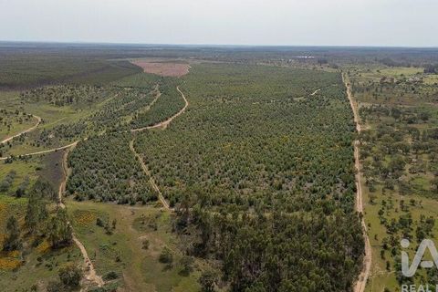 Helårsgrund i Abrantes, Santarem, Abrantes - € 699.000 | Ref: 878782 - foto 20
