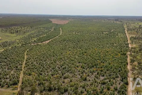 Helårsgrund i Abrantes, Santarem, Abrantes - € 699.000 | Ref: 878782 - foto 21