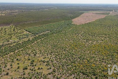 Helårsgrund i Abrantes, Santarem, Abrantes - € 699.000 | Ref: 878782 - foto 22