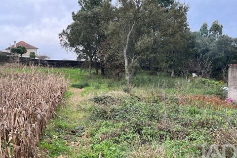Terra a Esposende, Braga, Esposende - € 75.000 | Ref: 108751 - foto 2