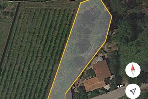 Terra a Esposende, Braga, Esposende - € 75.000 | Ref: 108751 - foto 3