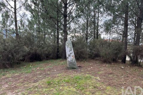 Terra a Esposende, Braga, Esposende - € 75.000 | Ref: 108751 - foto 6