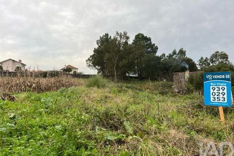 Terra a Esposende, Braga, Esposende - € 75.000 | Ref: 108751 - foto 8
