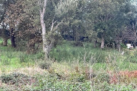 Terra a Esposende, Braga, Esposende - € 75.000 | Ref: 108751 - foto 9