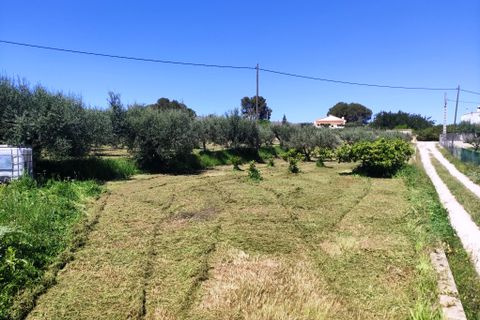Landejendom i Ontinyent, Valencia, Ontinyent - € 295.000 | Ref: 2010 - foto 18