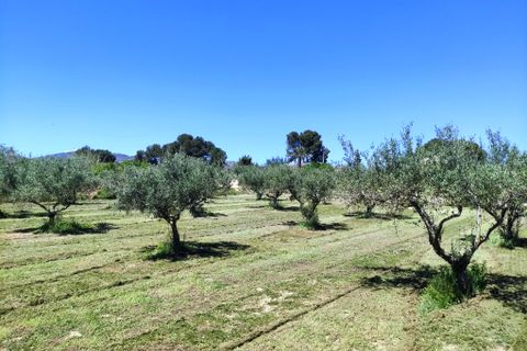 Landejendom i Ontinyent, Valencia, Ontinyent - € 295.000 | Ref: 2010 - foto 19