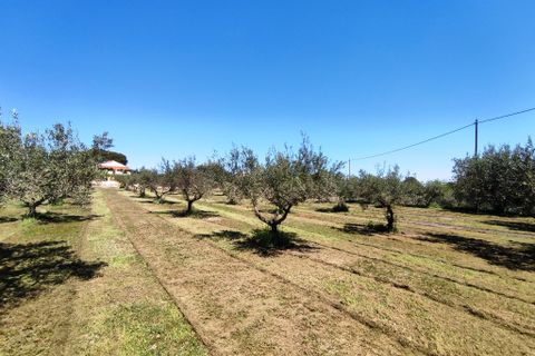 Landejendom i Ontinyent, Valencia, Ontinyent - € 295.000 | Ref: 2010 - foto 20