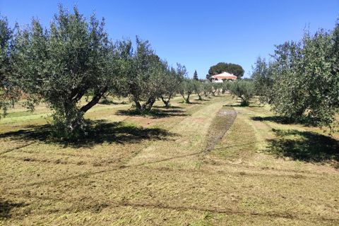 Landejendom i Ontinyent, Valencia, Ontinyent - € 295.000 | Ref: 2010 - foto 21