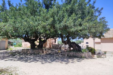Landejendom i Ontinyent, Valencia, Ontinyent - € 295.000 | Ref: 2010 - foto 38