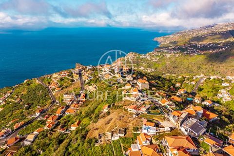 Terra a Ribeira Brava, Madeira, Ribeira Brava - € 250.000 | Ref: SÒL_1 - foto 7