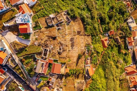 Terra a Ribeira Brava, Madeira, Ribeira Brava - € 250.000 | Ref: SÒL_1 - foto 10