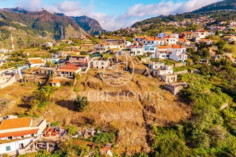 Terra a Ribeira Brava, Madeira, Ribeira Brava - € 250.000 | Ref: SÒL_1 - foto 11