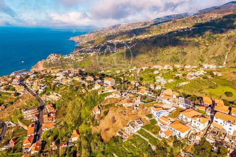 Maa Ribeira Bravassa, Madeira - kuva 5