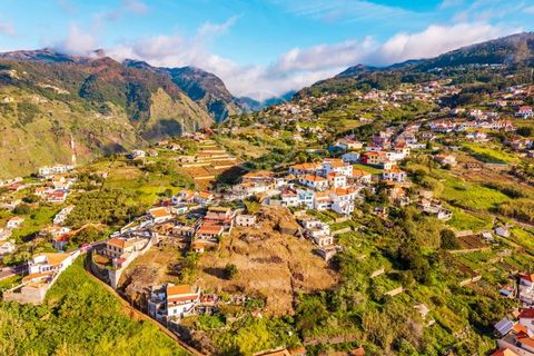 Maa Ribeira Bravassa, Madeira - kuva 4