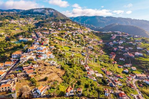 Terra a Ribeira Brava, Madeira, Ribeira Brava - € 250.000 | Ref: SÒL_1 - foto 13