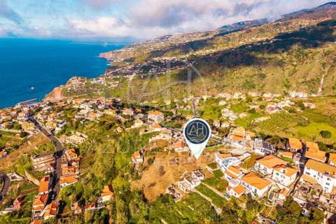 Terra a Ribeira Brava, Madeira, Ribeira Brava - € 250.000 | Ref: SÒL_1 - foto 6