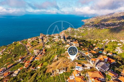 Terra a Ribeira Brava, Madeira, Ribeira Brava - € 250.000 | Ref: SÒL_1 - foto 8