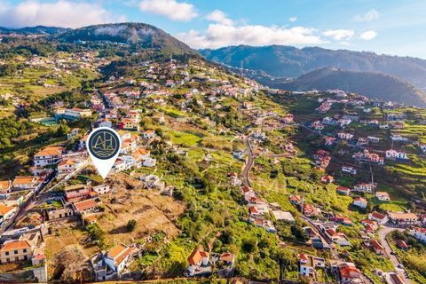 Terra a Ribeira Brava, Madeira, Ribeira Brava - € 250.000 | Ref: SÒL_1 - foto 12