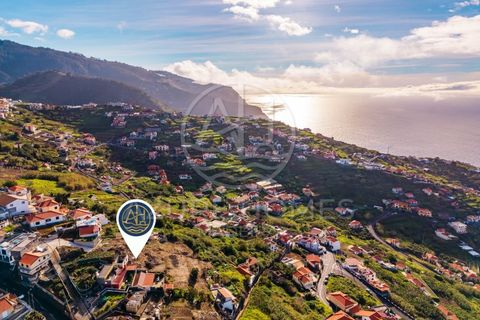 Terra a Ribeira Brava, Madeira, Ribeira Brava - € 250.000 | Ref: SÒL_1 - foto 16