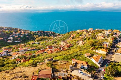 Maa Ribeira Bravassa, Madeira - kuva 5